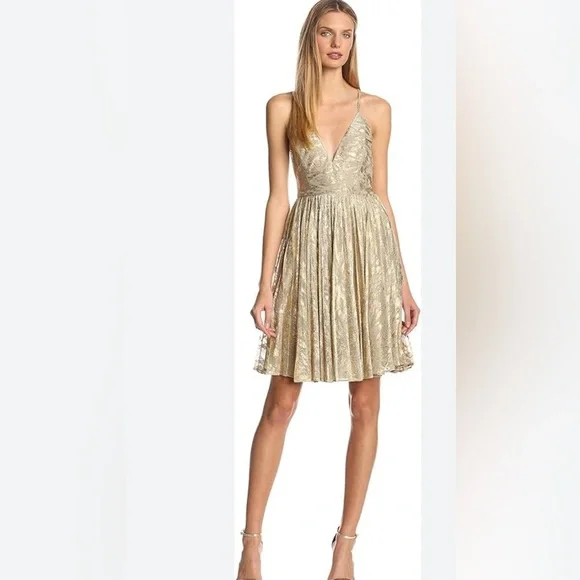 Sam Edelman Russian GoldRomance Dress - Picture 4 of 15